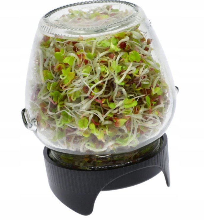 Kiełkownica słoikowa Twist-off + nasiona BW