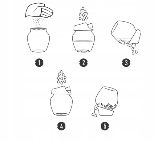 Kiełkownica słoikowa Twist-off + nasiona BW