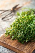 Majeranek 50g