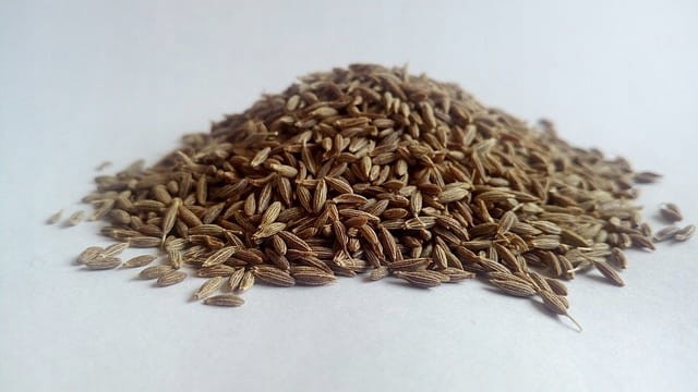 Kminek ziarno 100g