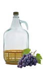 Gąsior DAMA 5L w koszyku