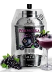 Koncentrat do nalewek porzeczka 250ml