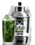 Koncentrat do nalewek  PROFIMATOR WALDMAISTER 250 ML
